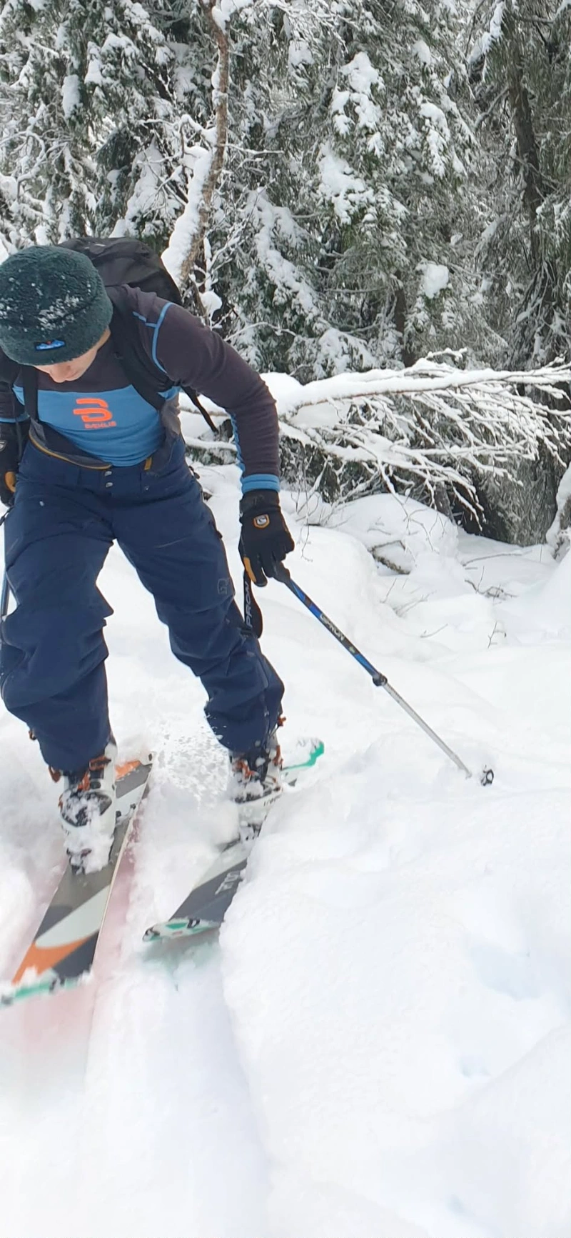 Carl Albert Blücher